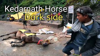 Kedarnath Dark Reality Of Horse Ride