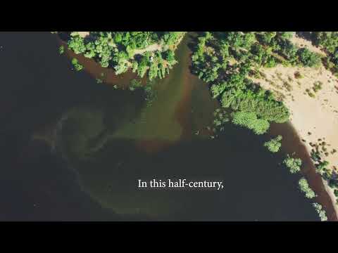 І кожна річка. Офіційний трейлер