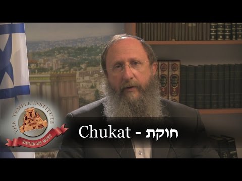 Weekly Torah Portion: Chukat