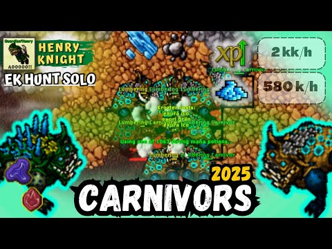 TIBIA - KNIGHT LEVEL 250 HUNT SOLO CARNIVORS - EK HUNT SOLO #210
