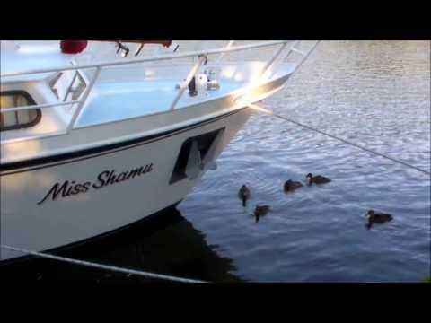 Halcyon Yacht Delivery - Stevens 1040 from Bembridge to Ely