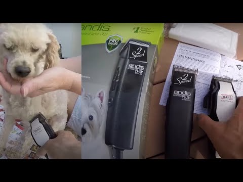 Dog Clippers Comparison - Oster and Andis ProClip