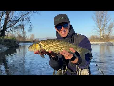 Pesca a mosca secca al cavedano