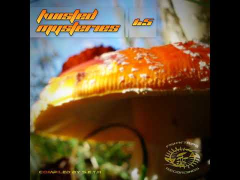 09 Psyzanca - Violation Copyright