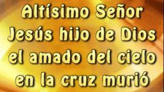 Digno Es El Señor (Pista) (Letra) - Vino Nuevo /  Marcela Gandara