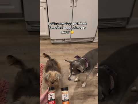 Can You REALLY Feed Your Dog French Fries and Fried Chicken Safely?