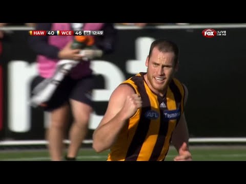 AFL 2014: Round 12 - Hawthorn highlights vs. West Coast (HD Version)