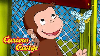Whats the Weather Like? 🐵 Curious George 🐵 Kids Cartoon 🐵 Kids Movies