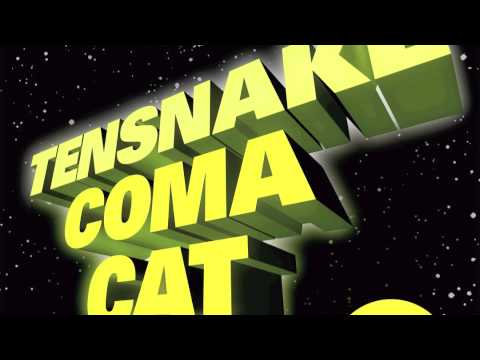 Tensnake - Coma Cat (Mark Knight Korma Cat Remix)