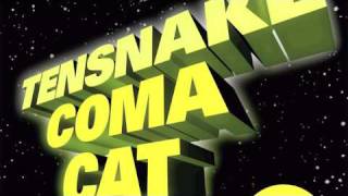 Tensnake - Coma Cat (Mark Knight Korma Cat Remix)