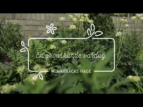 En grönskande vardag - Munkebäcks hage, Göteborg