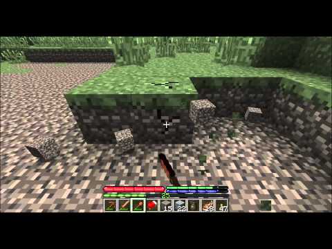 Tweety plays Terrafirmacraft ep 19 - Farm construction