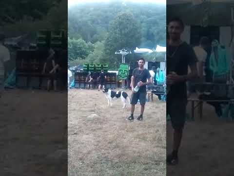 Teknival de Roumanie