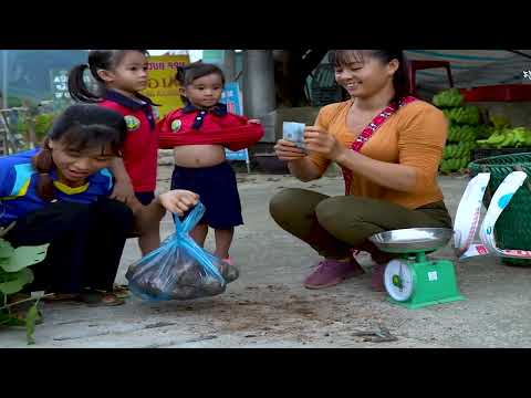 Full Video 30 Days Go To Market Sell - Harvesting Coconut Fruit, Harvest Banana & Watermelon