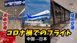 【クレイジージャパン】コロナ禍で中国から日本へ帰国するまでの空港の様子まとめ