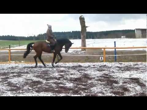 Cardinal 3 y. Carthago x Corrado II