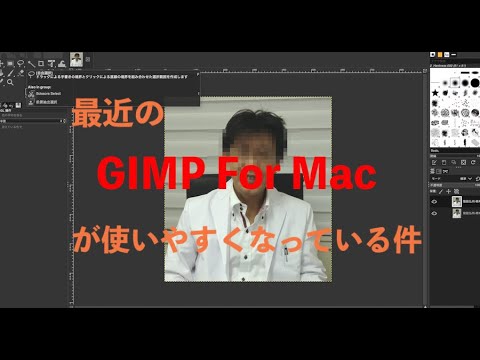 保健学科 GIMP (For Mac Ver2.10)でモザイクをかけてみる