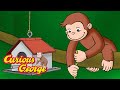 George And The Hungry Squirrel Curious George Kids Cartoon Kids Movies