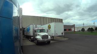 1907 back it up blue