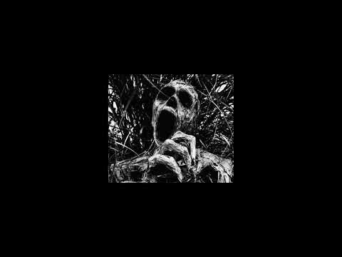 SHUSH x Numb$kull - MORBID ( 𝕤𝕝𝕠𝕨𝕖𝕕 + 𝕣𝕖𝕧𝕖𝕣𝕓 )