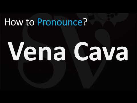 How to Pronounce Vena Cava? (CORRECTLY)