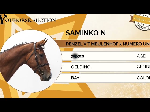 Saminko homevideo