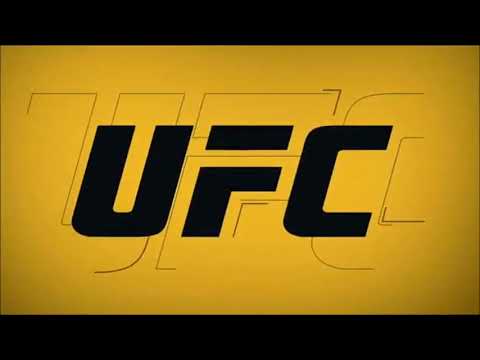 Tony Ferguson vs Kevin Lee