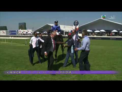 2019 Cape Derby G1 -  Atyaab (阿特雅布) - D.Gouveia