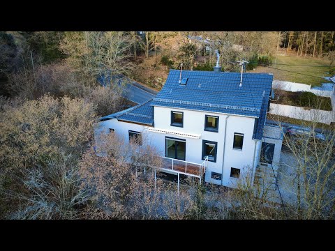 Wohnen mitten im Wald – Haus mit absoluter Privatsphäre & eigenem Waldgrundstück