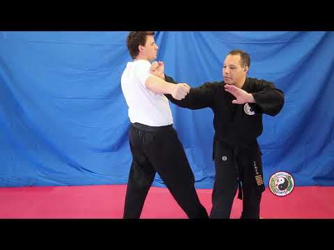 Kempo Karate - Combination 26