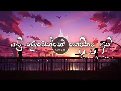 Yali Hamuwenne Kedhinadha Api Cover By (D Covers)|Sinhala Covers|New Cover Songs|2022 song covers