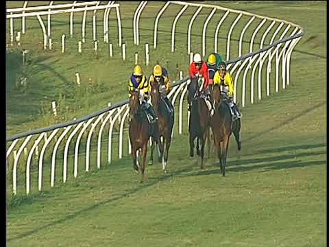 Galoppo 23/08/2017 - 4ª corsa