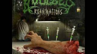 W.A.S.P. &amp; Avulsed - I Wanna Be Somebody