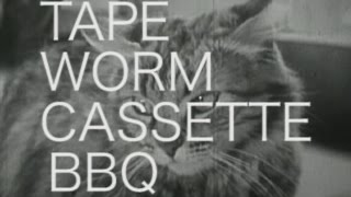 Tape Worm Cassette BBQ ~ Mincer Ray + Chases @ Monarch - Oct 12th