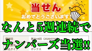 【宝くじ５週連続当選！】なんと数字を絞る買い方なのに５週連続でナンバーズ当選達成です！！