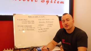 Whiteboard series Pt  2  Wiederholungen: Wieviele wofür?