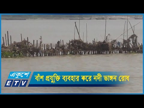 বাঁশ প্রযু্িক্ত ব্যবহার করে নদী ভাঙ্গন রোধ করেছেন স্থানীয়