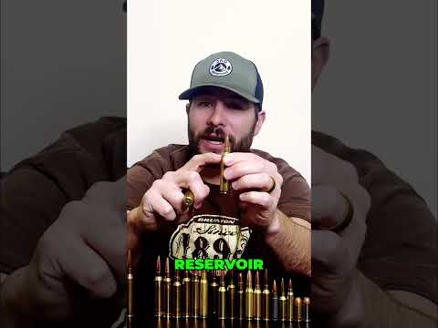 NOSLER BALLISTIC TIP BULLET