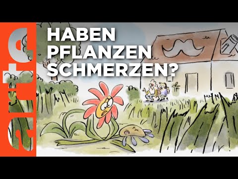 Video Thumbnail: Der wahre Duft der Pflanzen | Wer nicht fragt, stirbt dumm | ARTE