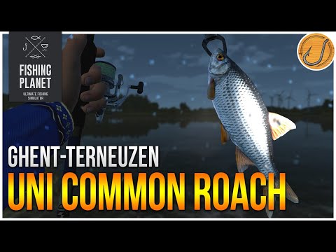 Unique Common Roach of Ghent-Terneuzen Canal! | (Fishing Planet: Test Your Spot Series!)