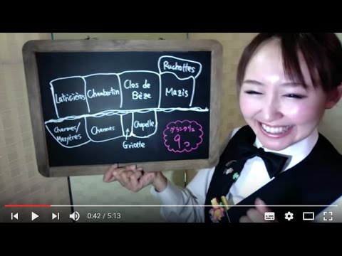 ワイルドワイン「エンゲルマンニ」 植物