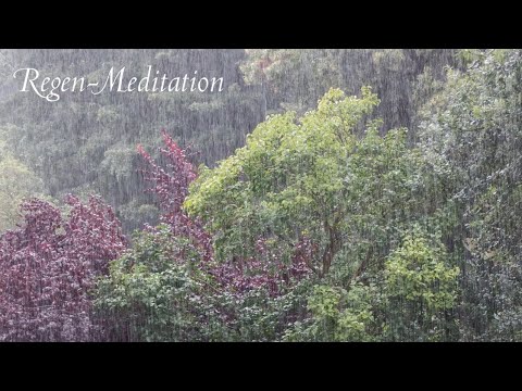 Geführte Meditation #6 - Regen-Meditation [15 min]