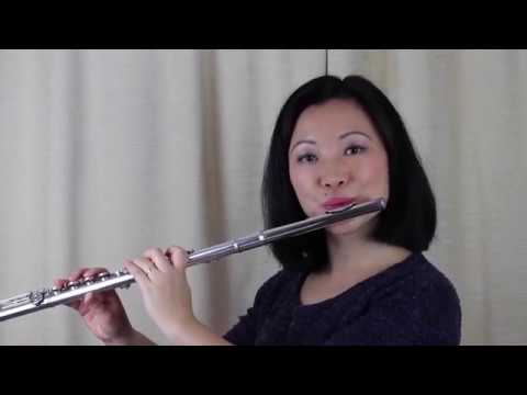 Meant To Be  -  Bebe Rexha ft Florida Georgia Line (Flute Cover)
