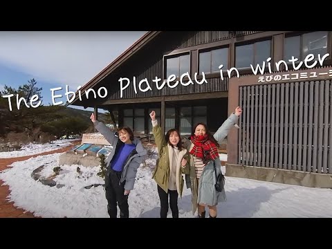 "Miyazaki VR Experience" ＃5 The Ebino Plateau in Winter