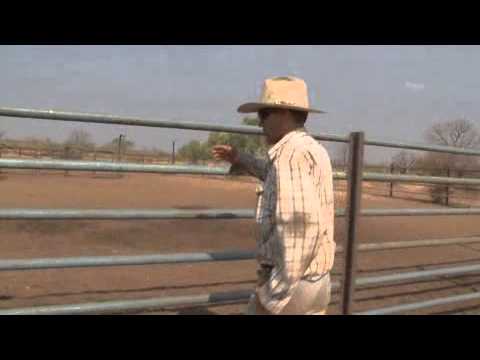 1.2 Jumping the fence