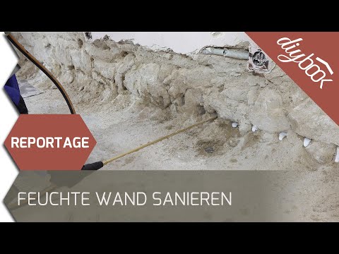 Feuchte Wand sanieren: Aufsteigende Feuchtigkeit im Mauerwerk