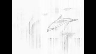 Mireille Mathieu - Pourquoi Le Monde Est Sans Amour