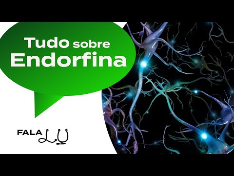 E A GENTE ACHANDO QUE ERA ENDORFINA | Tudo sobre a ação da atividade física no nosso cérebro