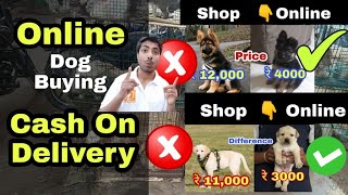 Online dog कैसे  buy किया जाता है ? How to buy dog online?