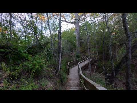 Rock Shelter Interpretive Trail Video Thumbnail